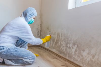 Air Duct Mold Removal in Frisco, TX