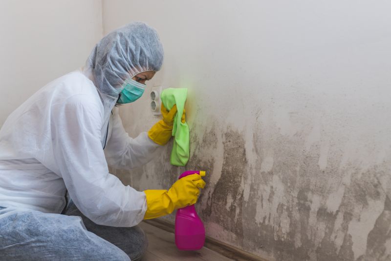 Air Duct Mold Removal in Jupiter, FL