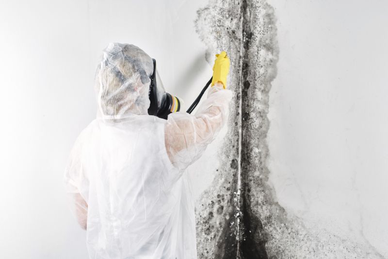 Air Duct Mold Removal in Dallas, TX