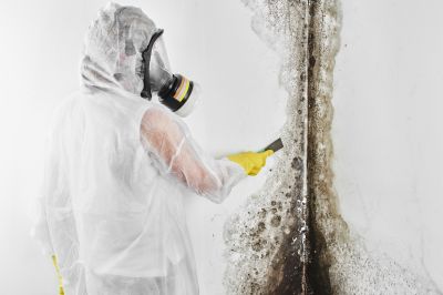 Attic Mold Removal in Frisco, TX