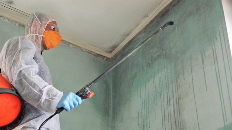 Mold Cleanup Service in West Palm Beach, FL