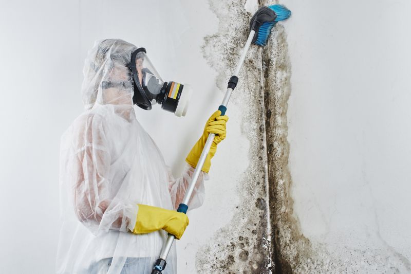 Mold Mitigation Service in Fort Worth, TX