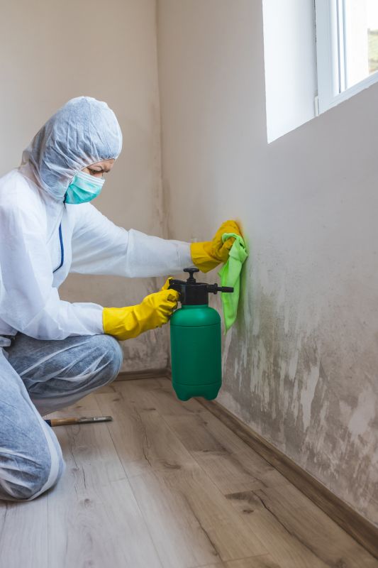Mold Treatment Service in Fort Lauderdale, FL