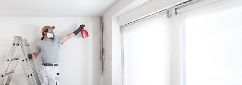 Attic Mold Removal in Boca Raton, FL