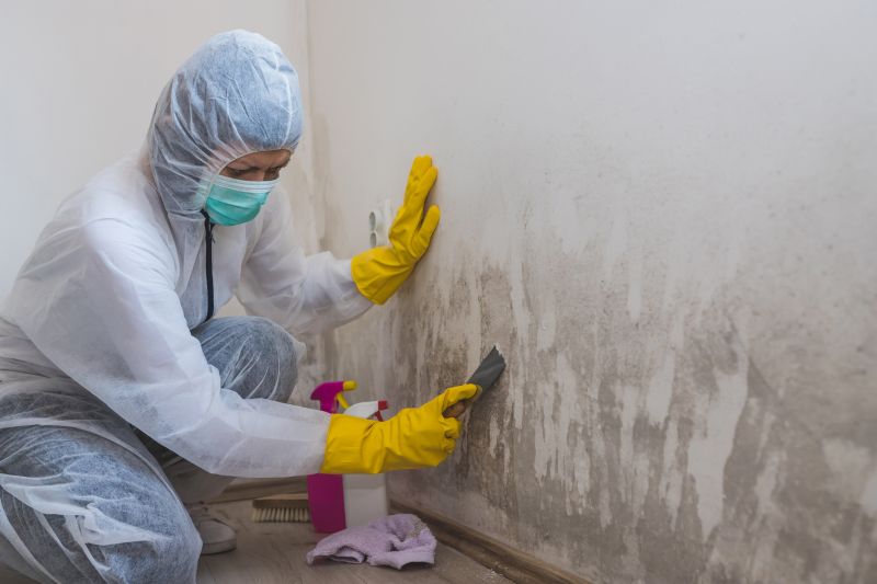 Black Mold Remediation in West Palm Beach, FL