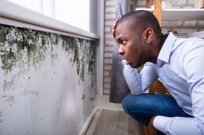 Mold Inspection And Removal in Arlington, TX
