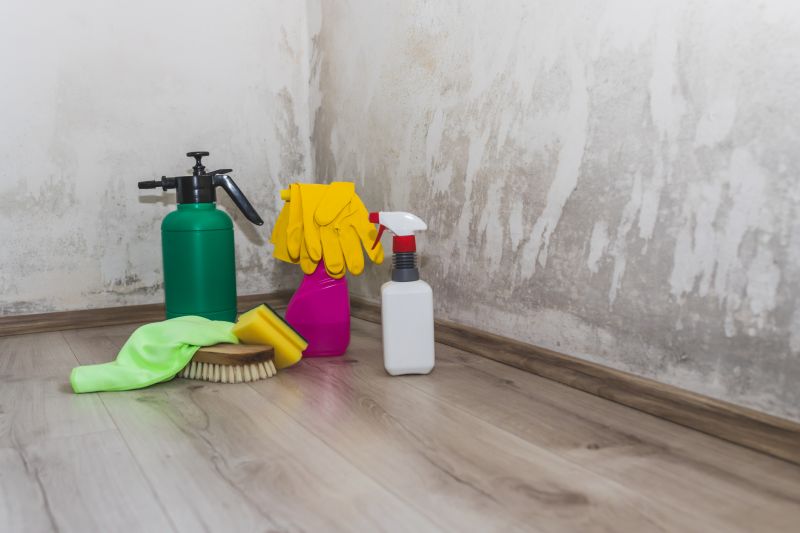 Mold Remediation Service in Essex County, NJ