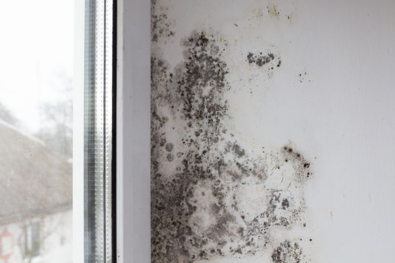Mold Treatment Service in Dallas, TX